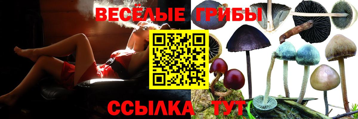 купить  сайты  Псилоцибиновые грибы Psilocybe  Вход с VPN  Большой Камень  Галлюциногенные грибы Magic Shrooms 